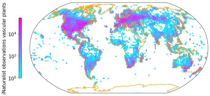 _images/Chapter_3_Link_iNaturalist_observations_to_TRY_66_0.png